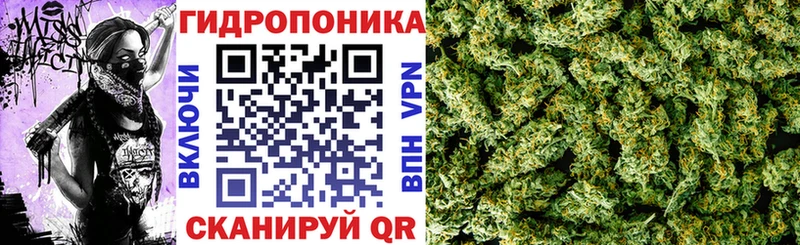 Где купить наркотики Краснокаменск Альфа ПВП  МАРИХУАНА  Меф мяу мяу  Codein  ГАШ 