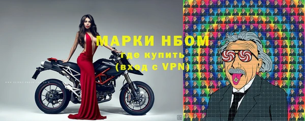 эйфоретик Баксан