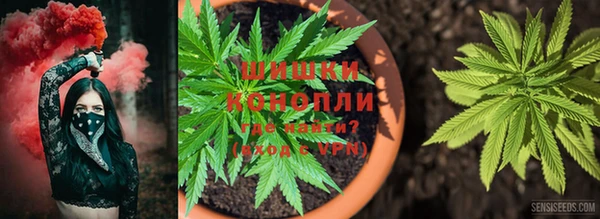 эйфоретик Балахна