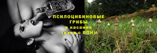эйфоретик Балахна