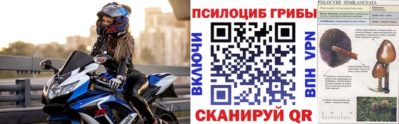 Псилоцибиновые грибы ЛСД Краснокаменск