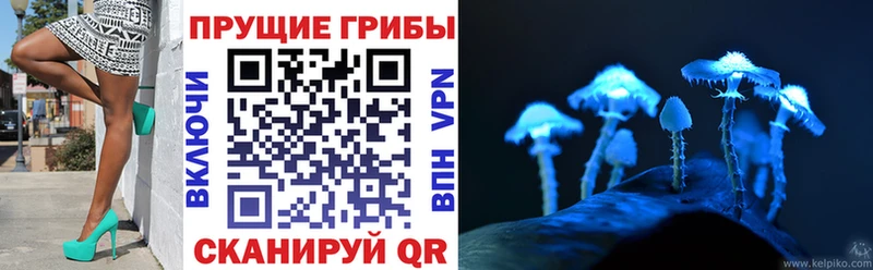 Псилоцибиновые грибы мухоморы Краснокаменск