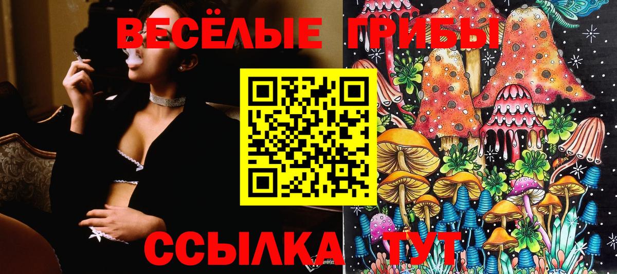 Краснокаменск  Псилоцибиновые грибы прущие грибы  Вход с VPN 