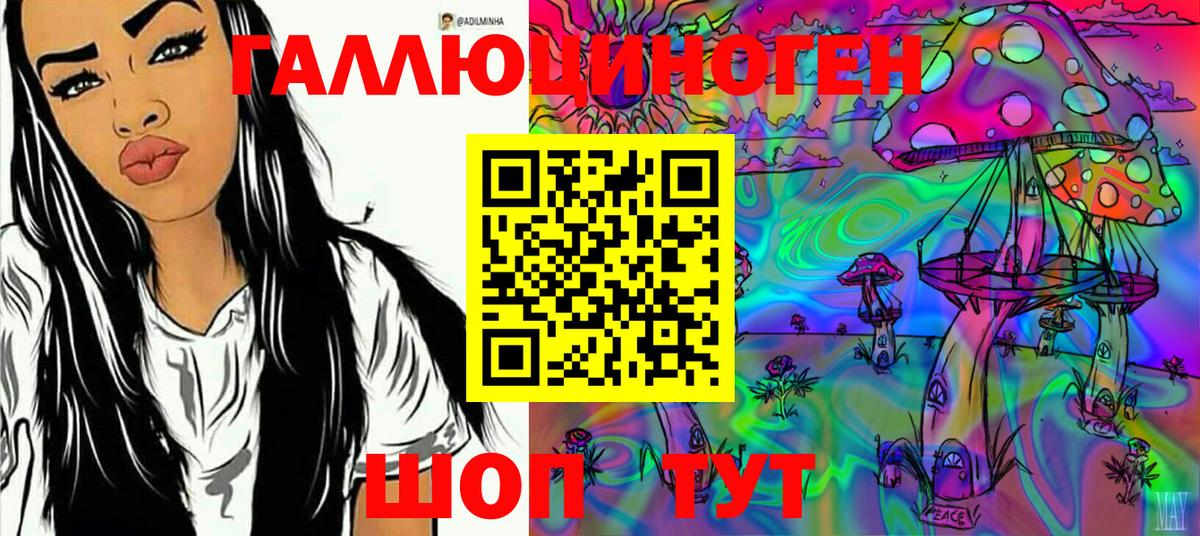 Галлюциногенные грибы Psilocybine cubensis Краснокаменск